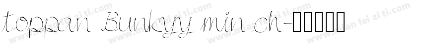 toppan Bunkyy min ch字体转换
